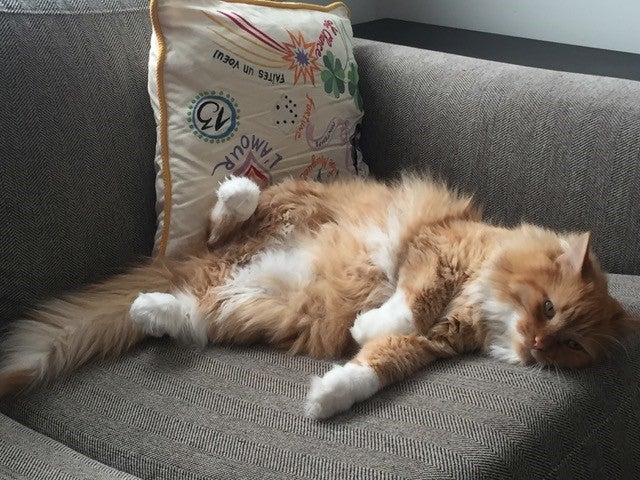 erwin schrodinger (1)