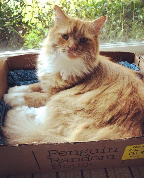 erwin schrodinger (2)