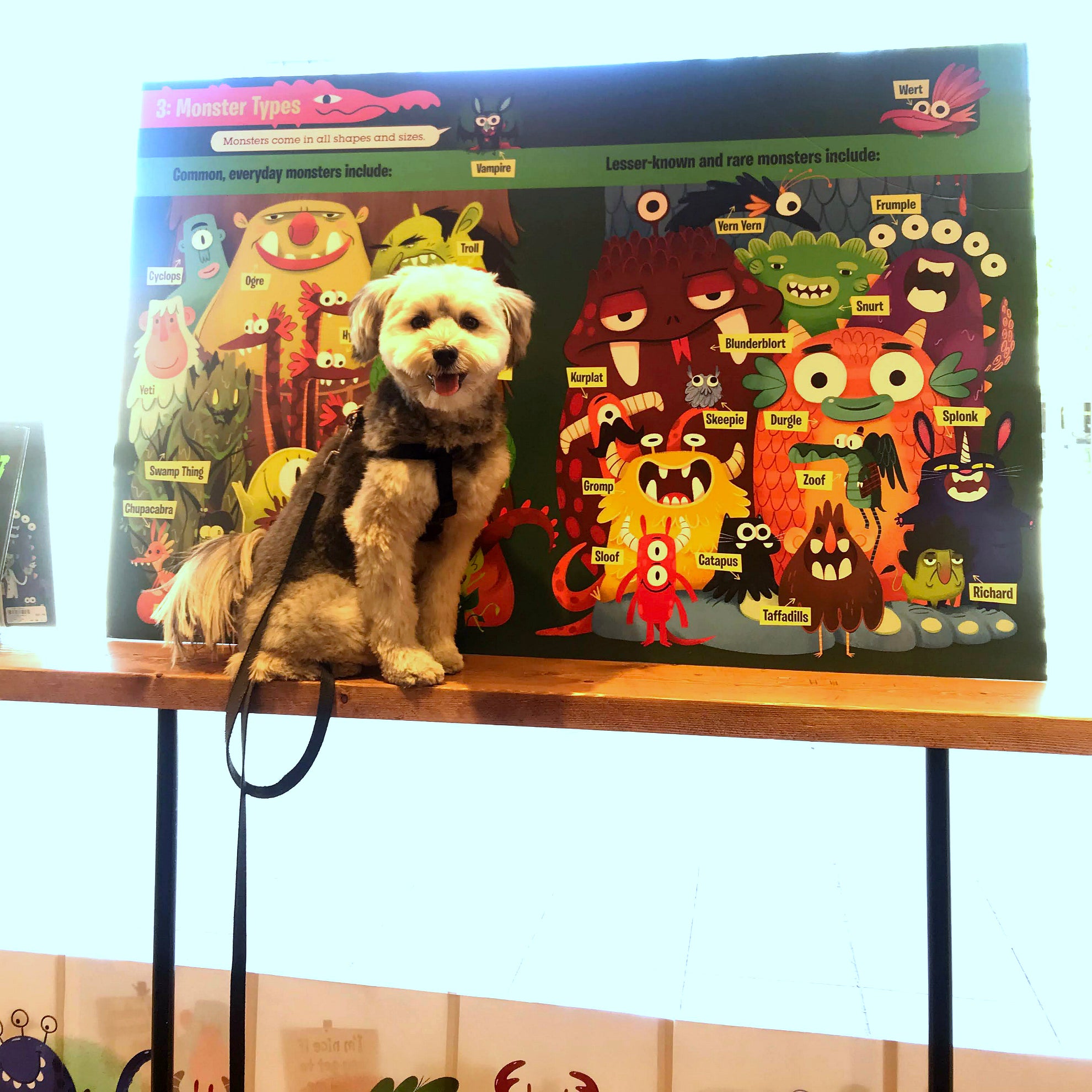 Monsters 101 window reveal 3